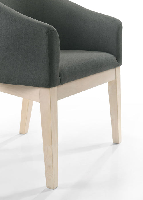 Neroli - Barrel Accent Chair (Set of 2) - Gray Lilola Home