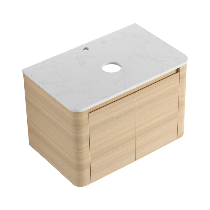 Wall Mounted Bathroom Vanity With Soft Close Door, Excluding Sink Home Essentials