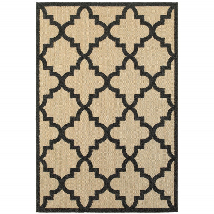 7' X 10' Geometric Stain Resistant Indoor / Outdoor Area Rug - Beige / Black