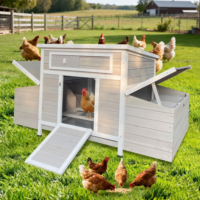 Large Chicken Coop Outdoor Hen House With Dual Nesting Boxes Daily Nest