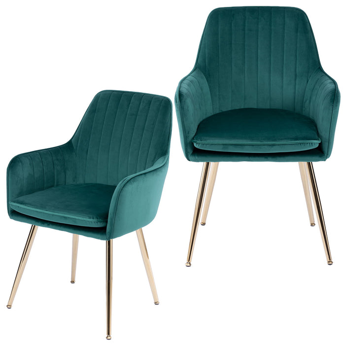 Modern Mid Back Dining Chairs Home Essentials