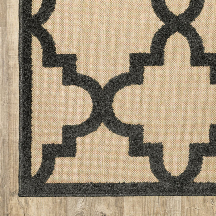 5' X 8' Geometric Stain Resistant Indoor / Outdoor Area Rug - Beige / Black