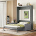 Murphy Wall Bed With Cushion DreamHaus