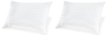Zephyr 2.0 - Cotton Pillow Ashley Sleep®