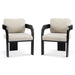 Dining Chairs & Pillow Back (Set of 2) - Beige / Black Noble House