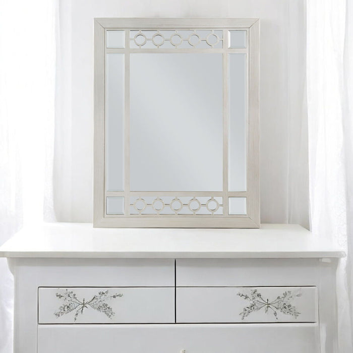 Varian - Mirror - Silver & Mirrored ACME