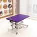 Hydraulic Pet Grooming Table Daily Nest