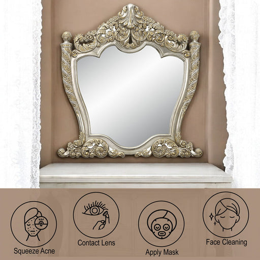 Danae - Mirror - Champagne & Gold ACME