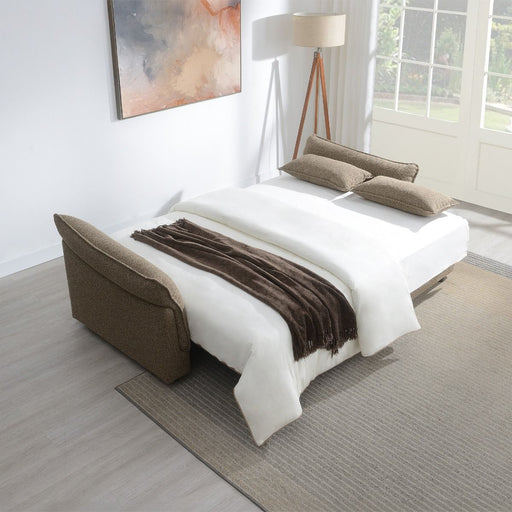 Turpin - Sofa With Sleeper, 2 Pillows & Storage - Brown Boucle ACME