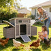 Chicken Coop, Large Outdoor Hen House With Run And Nesting Box Poultry Cage, Rabbit Hutch - Gray Daily Nest