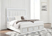 Chalanna - Upholstered Storage Bed Signature Design by Ashley®