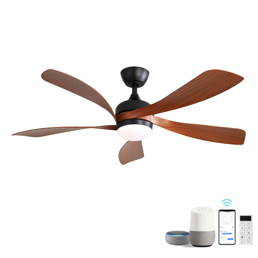 Ceiling Fan & DC Motor And Integrated Light Daily Nest