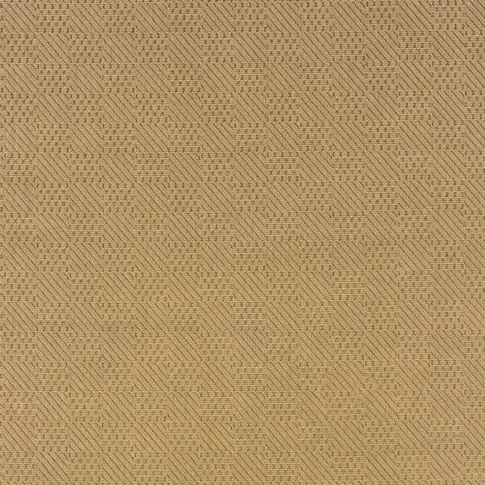 7' X 10' Outdoor & Indoor Area Rug - Beige