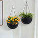 Self Watering Hanging Planter Daily Nest