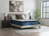 Limited Edition Plush PT 3.0 - Mattress Sierra Sleep® by Ashley