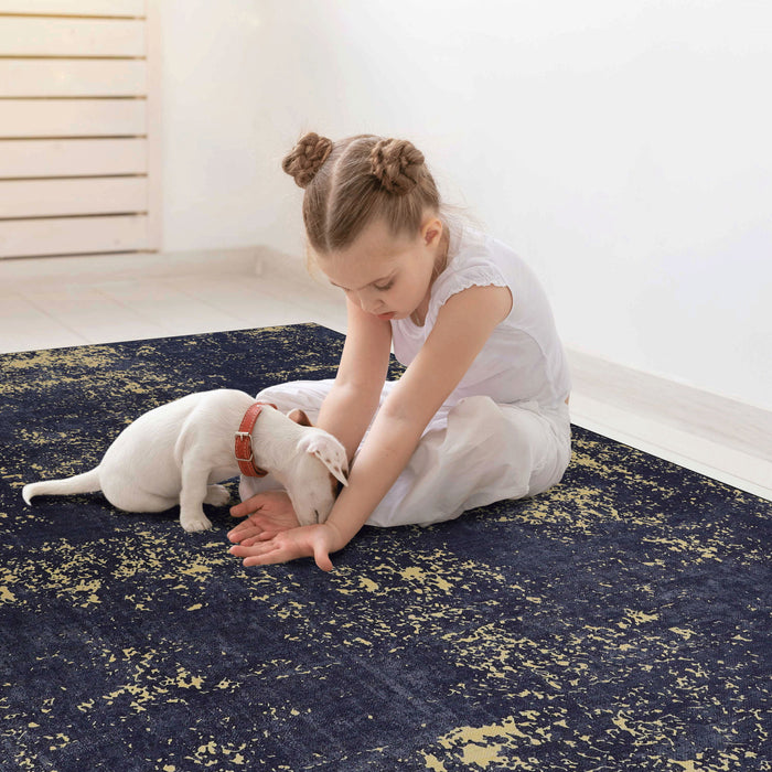 2' x 3' Machine Washable Area Rugs, Low-Pile, Non-Slip, Non-Shedding, Foldable, Kid & Pet Friendly Area Rugs For Living Room, Bedroom, Kitchen, Dining Room Rug, Perfect Gift - Black / Gold