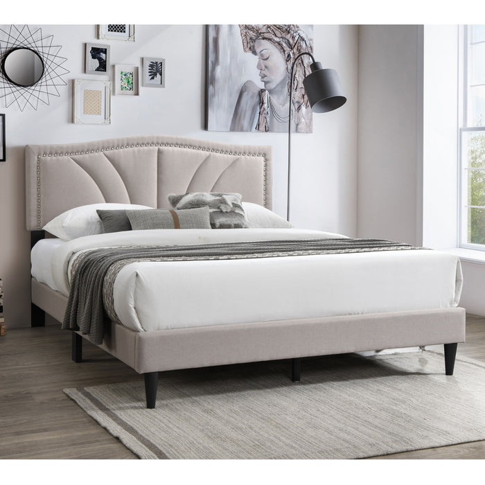 Bed With Nailhead Trim Accents, Upholstered Platform Frame Home Essentials