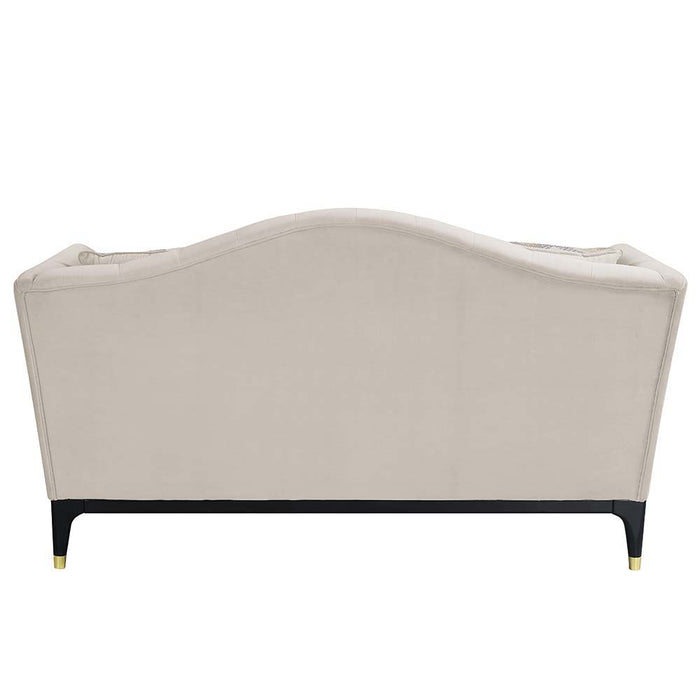 Tayden - Loveseat With 4 Pillows - Beige Velvet ACME
