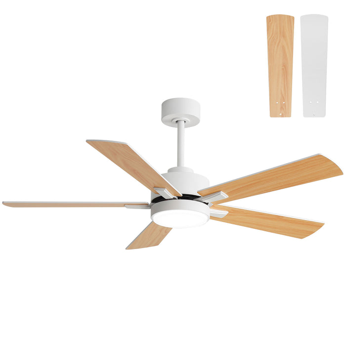 Reversible DC Motor Ceiling Fan With Dimmable LED Light For Living Room Daily Nest