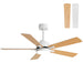 Reversible DC Motor Ceiling Fan With Dimmable LED Light For Living Room Daily Nest