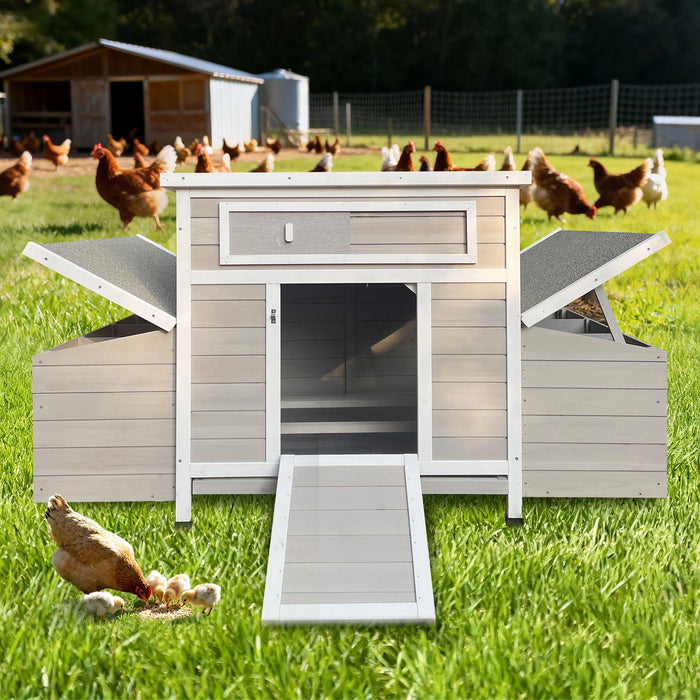 Large Chicken Coop Outdoor Hen House With Dual Nesting Boxes Daily Nest