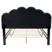 Bed With Floral Design Headboard And Built In LED Lighting Home Essentials