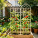 Metal Garden Rustproof Trellis For Climbing Plants Outdoor Flower Support Daily Nest