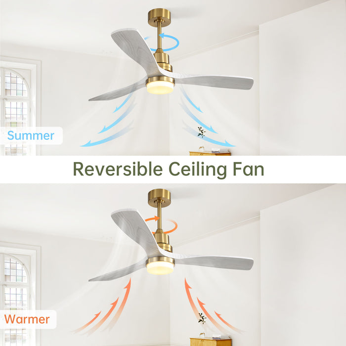 52" Reversible DC Motor Ceiling Fan With Dimmable LED Light, 3 Blades For Living Room,Patio - Gold Daily Nest