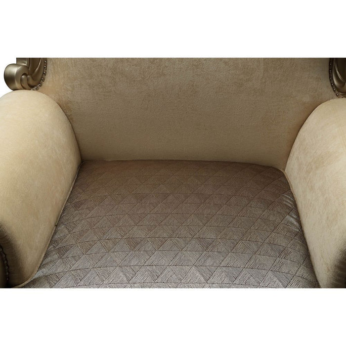 Ranita - Chair With 2 Pillows - Fabric & Champagne ACME