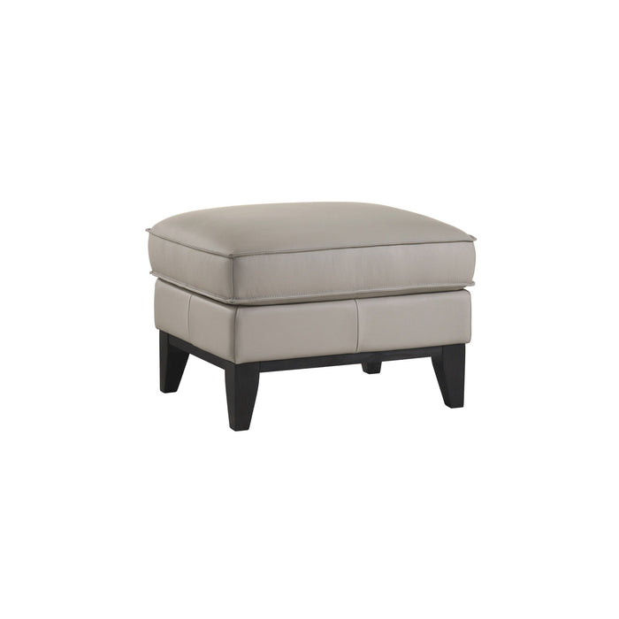 Aaron - Leather Ottoman - Mist Gray New Classic