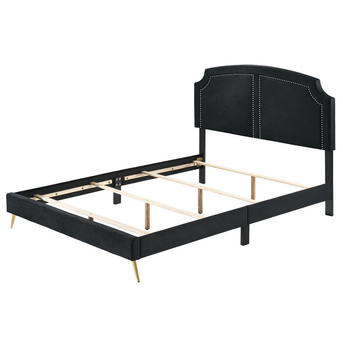Zeena - Bed ACME
