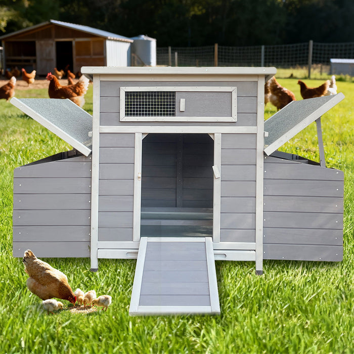 Large Chicken Coop Outdoor Hen House With Dual Nesting Boxes Daily Nest