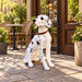 Large Dalmatian Dog Statue, Sitting Spotted Pet Sculpture For Entryway Patio - Black White Daily Nest