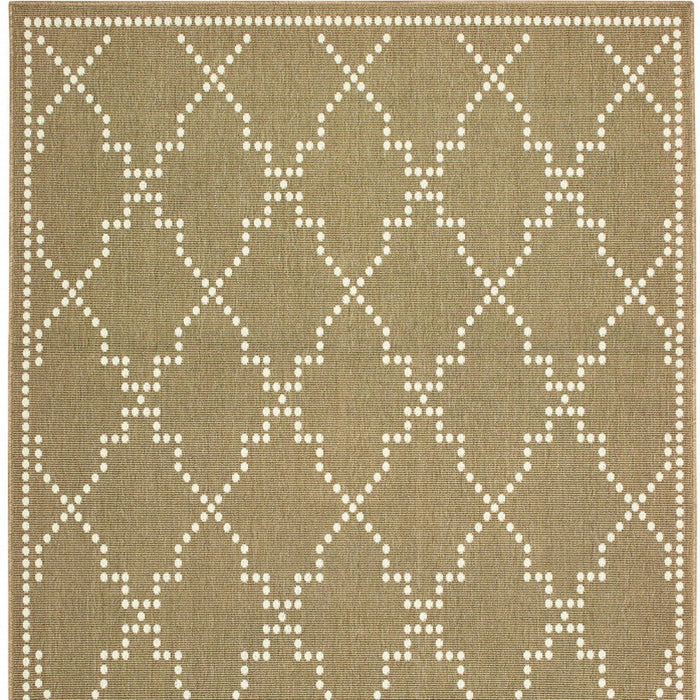 2' X 4' Geometric Stain Resistant Indoor & Outdoor Area Rug - Tan