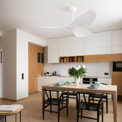 Ceiling Fan Without Light, DC Motor Remote Control Fan For Indoor / Outdoor Use - White Daily Nest