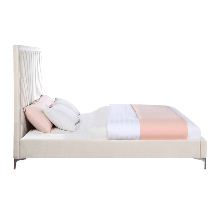 Faiz - Bed ACME