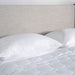 iProtect - Pillow Protector Bedgear