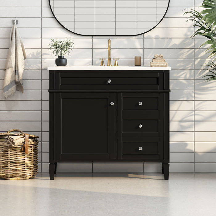 Bathroom Vanity With 2 Drawers And Tip-Out Drawer, Storage Cabinet Hearth and Haven