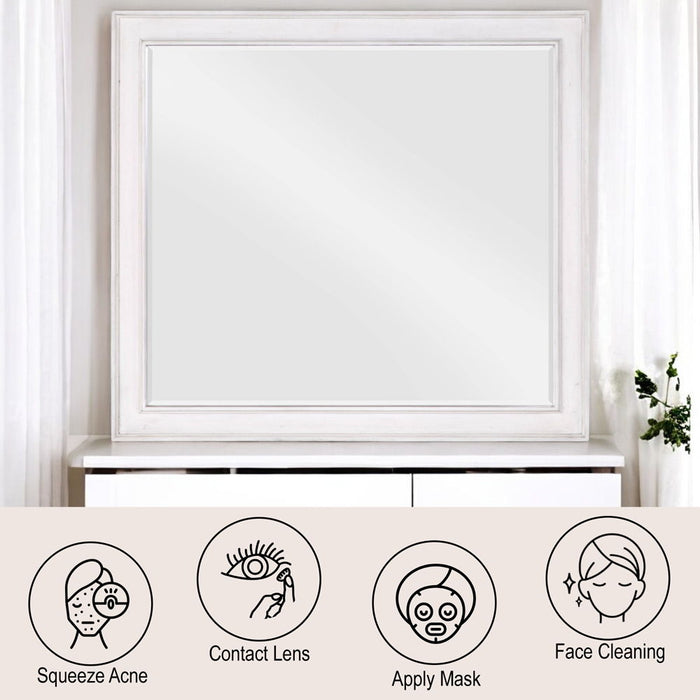 Katia - Mirror - Rustic Gray & Weathered White ACME