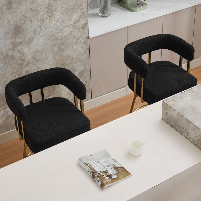 Decorative Upholstered Side Chair For Living Room (Set of 2)