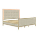 Adeline - Bed With LED Light (High Footboard) Home Essentials