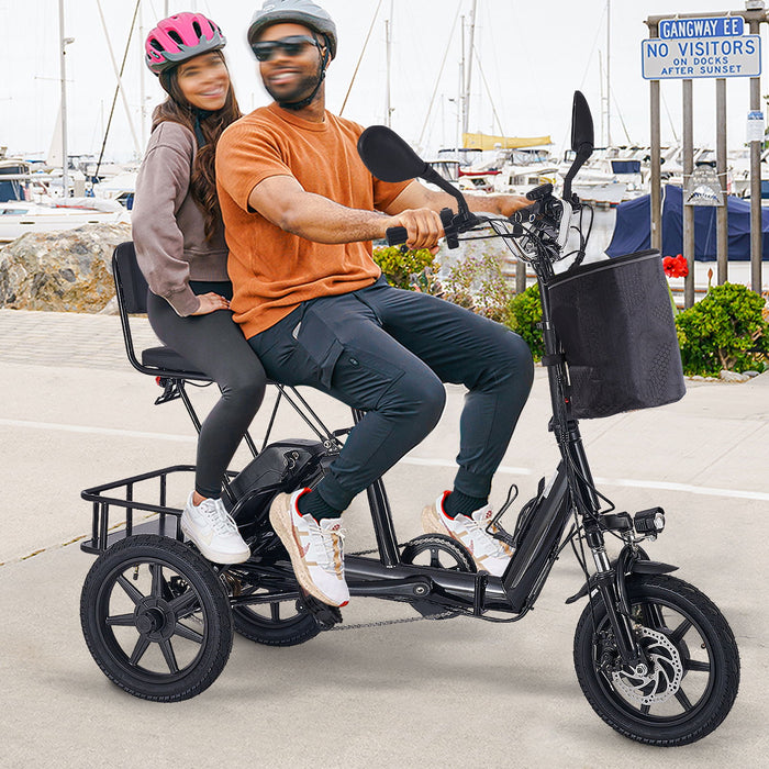 Folding Electric Trike With 350W Peak Motor, 480Wh Removable Battery, 2 Seat Design