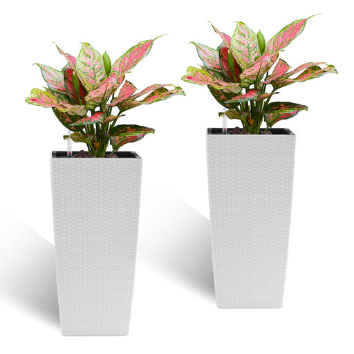Indoor Outdoor Planter With Automatic Watering System Daily Nest