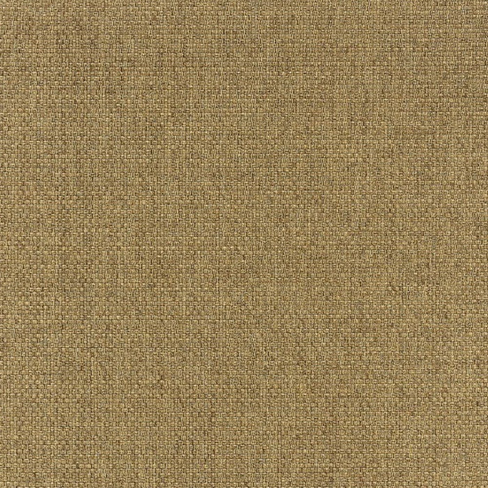 2' X 4' Outdoor / Indoor Area Rug - Tan