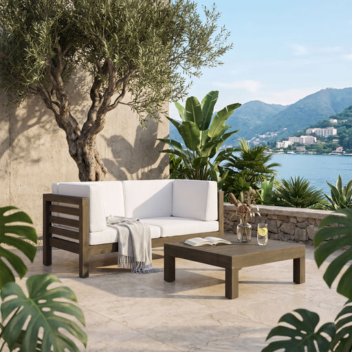 Oana - 3 Piece Love Seat Set With Coffee Table Noble House