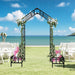 Garden Arch With Adjustable & Climbing Plants Support - Black Daily Nest