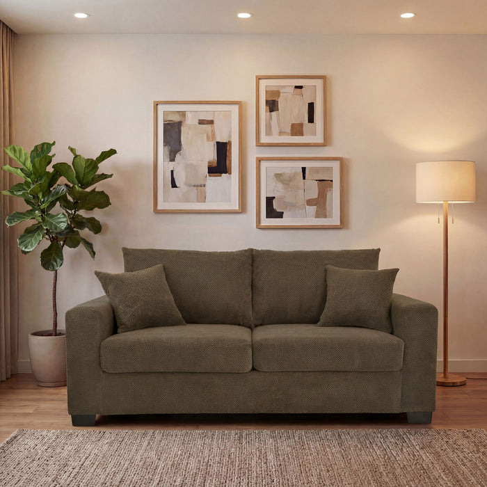 2 Seater Sofa, 2 Throw Pillows For Living Room Home Essentials