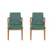 Dining Chairs (Set of 2) - Green / Walnut Noble House