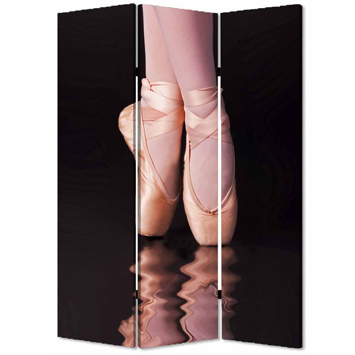 Wood Canvas Ballet Screen - Multi Color