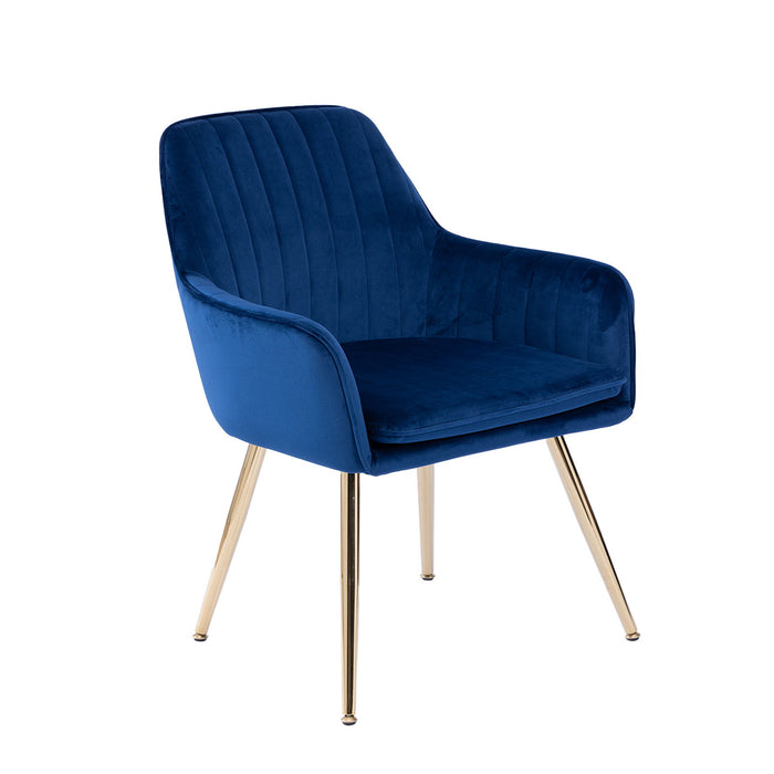 Modern Mid Back Dining Chairs Home Essentials